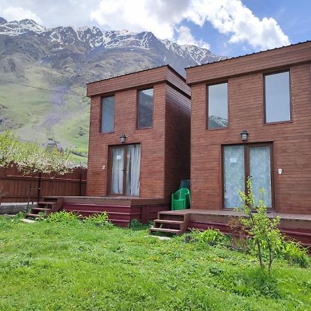 T&M Timeless Memories Apartment Kazbegi Luaran gambar