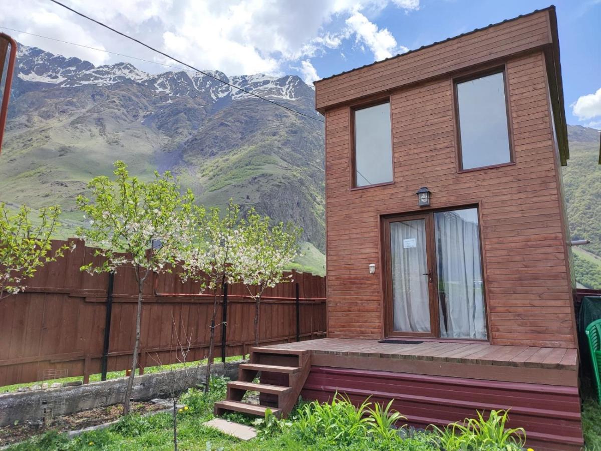 T&M Timeless Memories Apartment Kazbegi Luaran gambar